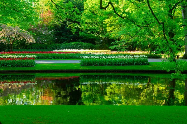 Spring pond in park — Stock Photo, Image
