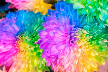 Doğal çiçek arkaplanı