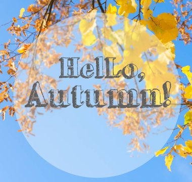 Titrek sonbahar yaprakları