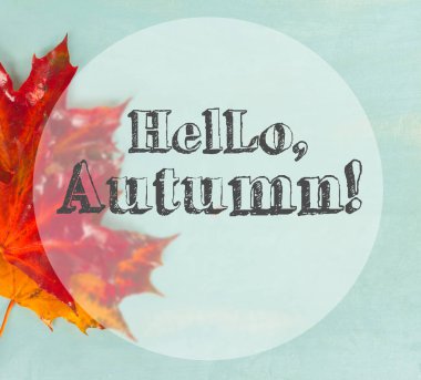 Sonbahar yaprakları mavi