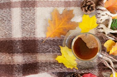 Sonbahar arkaplanından çıkar