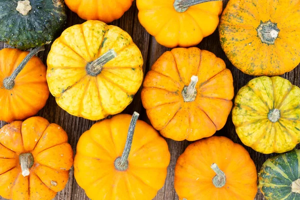 Pumpkin on table — Stock Photo, Image