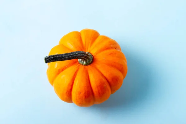 Calabaza en la mesa —  Fotos de Stock