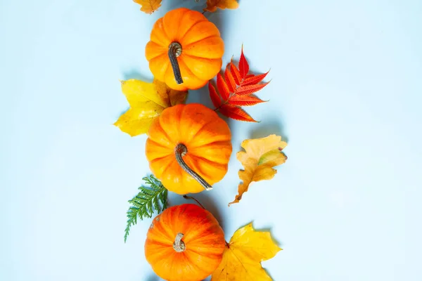 Orange Kürbisse Und Blätter Auf Blauem Hintergrund Mit Kopierraum — Stockfoto