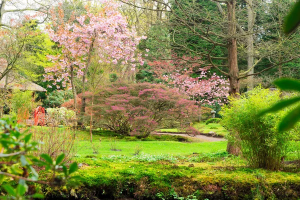 Clingendael park, Den Haag, Netherlands — Stock Photo, Image