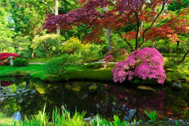 Lahey 'deki Japon Bahçesi