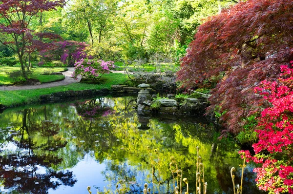 Jardim Japonês em Haia — Fotografia de Stock