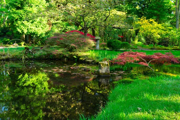 Japanese garden in The Hague — Stock Photo, Image