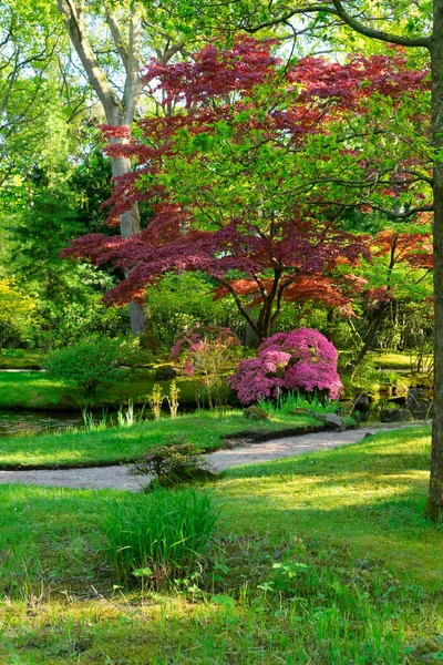 Japansk trädgård i Haag — Stockfoto