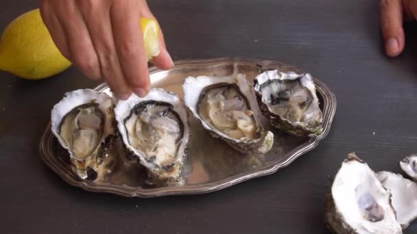 Verse rauwe oesters — Stockvideo