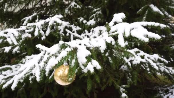 雪の中のクリスマスの装飾 — ストック動画
