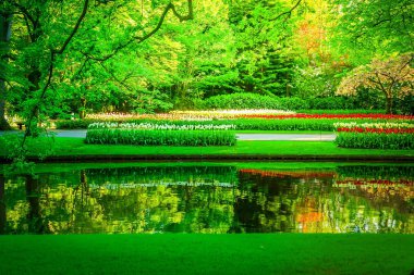 Parktaki bahar göleti