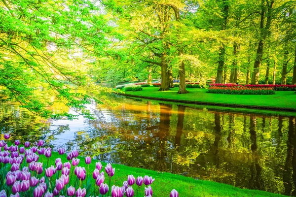 Spring pond in park — Stock Photo, Image