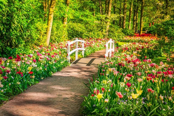 Cammino di pietra modo in giardino — Foto Stock