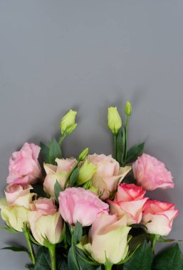 gri taze gül çiçek