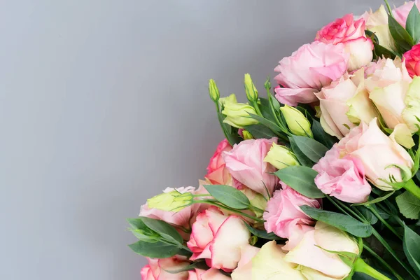 Čerstvé růžové květy na šedé — Stock fotografie
