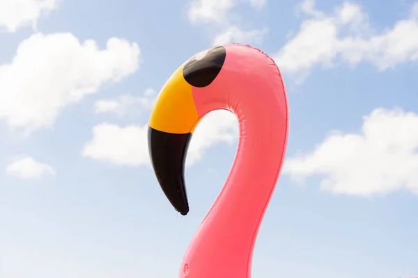 Rosa Uppblåsbar Flamingo Huvud Sommaren Himmel Bakgrund — Stockfoto
