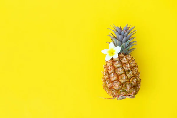 Pineapple fruit, minimal style — Stock Photo, Image