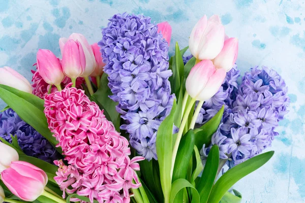 Hyacinth fresh flowers — Stock Photo, Image