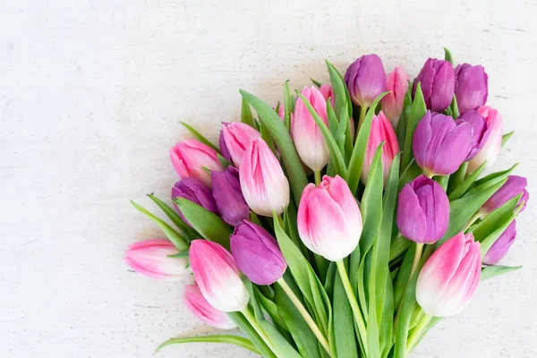 Pink fresh tulips — Stock Photo, Image