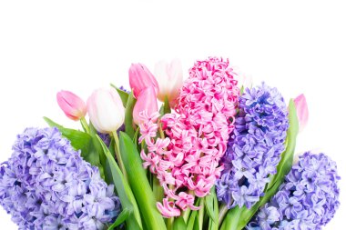 Sümbül taze çiçekler