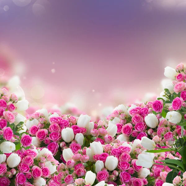 Cacho de rosas e flores de tulipas — Fotografia de Stock