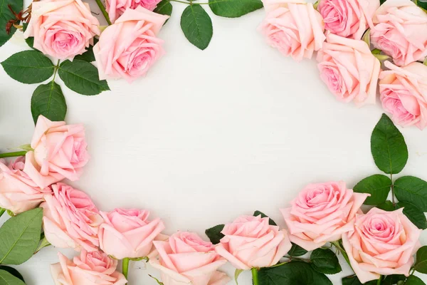 Čerstvé růžové květy — Stock fotografie