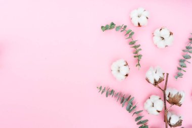 Eucaliptus çiçeklerle pamuk