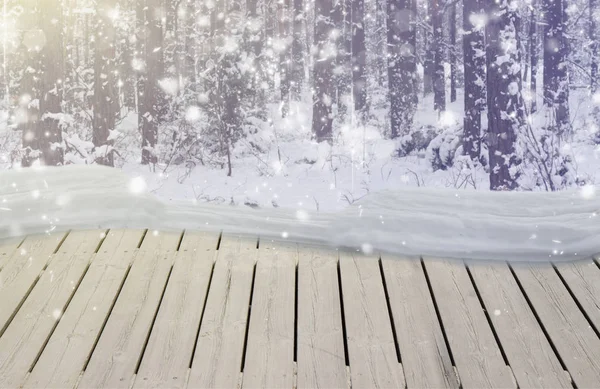Winterwald mit Schnee — Stockfoto