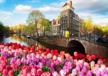 Hollanda, Amstardam 'ın Evleri
