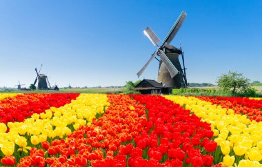 Hollanda yel değirmeni nehir suları üzerinde