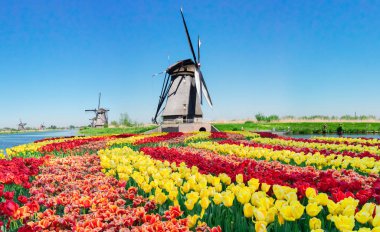 Hollanda yel değirmeni nehir suları üzerinde