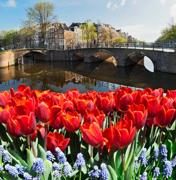 Huizen van Amsterdam, Nederland — Stockfoto