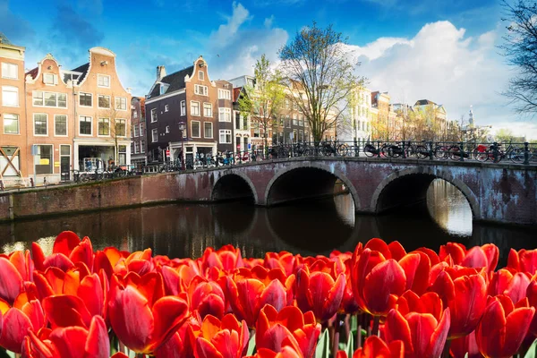 Huizen van Amstardam, Nederland — Stockfoto