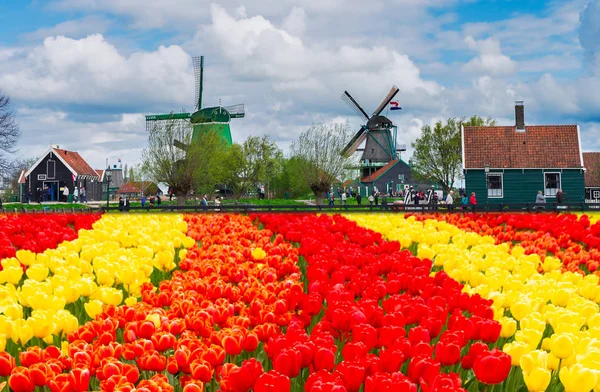 Nederlandse windmolens — Stockfoto