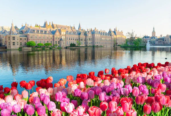 Binnenhof - Kamerlid, Holland — Stockfoto