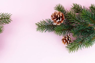 Evergreen twigs pink üzerinde