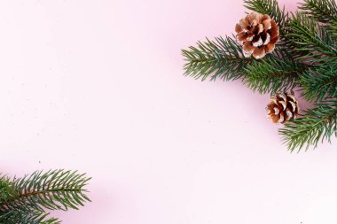 Evergreen twigs pink üzerinde