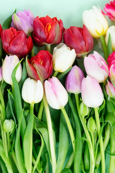Verse tulpen bloemen met hart — Stockfoto