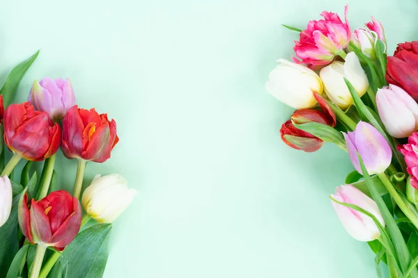 Fresh tulips flowers — Stock Photo, Image