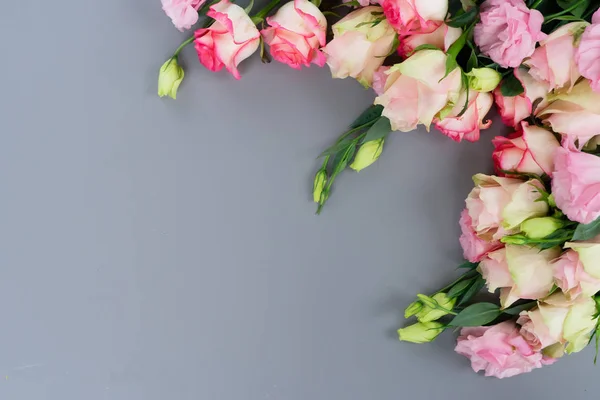 Fleurs roses fraîches sur gris — Photo