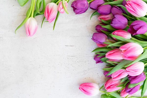 Tulipanes frescos rosados — Foto de Stock