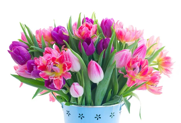 Pink fresh tulips — Stock Photo, Image