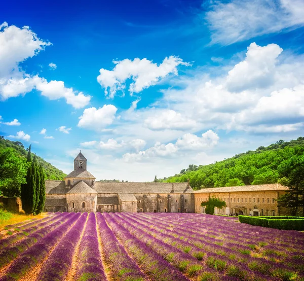 Abbaye Senanque et champ de lavande, France — Photo