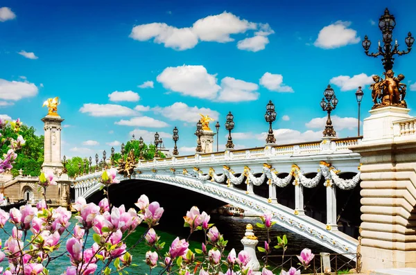 Puente de Alexandre III en París, Francia — Foto de Stock