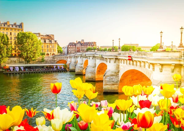 Pont neuf, paris, Frankrijk — Stockfoto