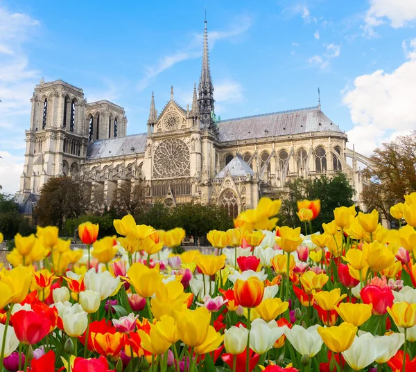 Katedrála Notre Dame, Paříž Francie — Stock fotografie