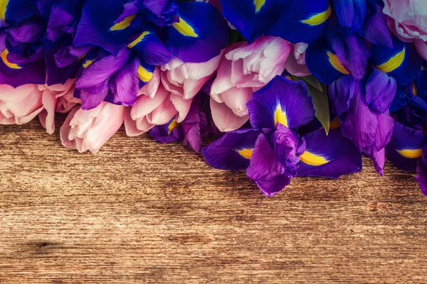 Iris blu e tulipani di luccio — Foto Stock