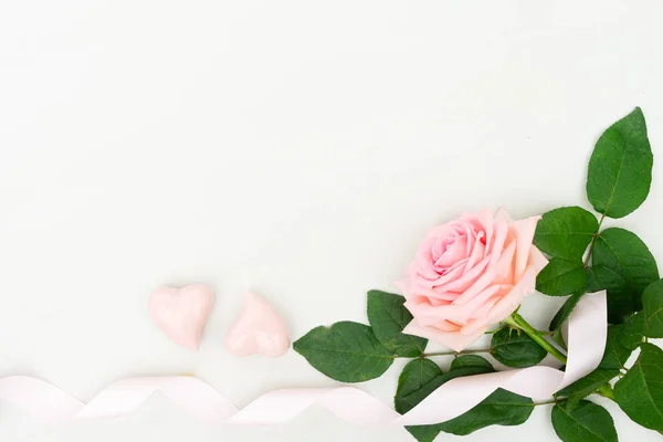 Färska rosenblommor — Stockfoto