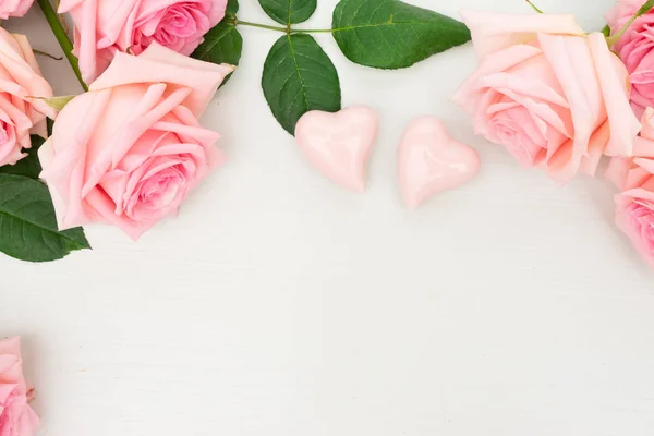 Fresh rose flowers — Stock Photo, Image